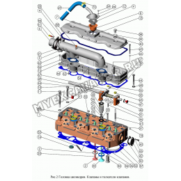 Головка цилиндров. Клапаны и толкатели клапанов ММЗ Д-245.9E2