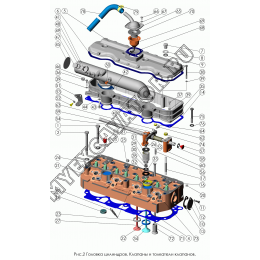 Головка цилиндров. Клапаны и толкатели клапанов ММЗ Д-245.30