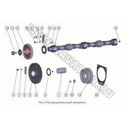 Распределительный механизм ММЗ Д-245.30