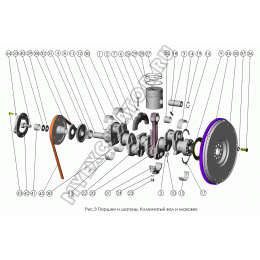 Поршни и шатуны. Коленчатый вал и маховик ММЗ Д-245.30