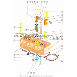 Головка цилиндров. Клапаны и толкатели клапанов ММЗ Д-260.1