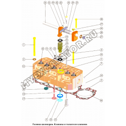 Головка цилиндров. Клапаны и толкатели клапанов ММЗ Д-260.2