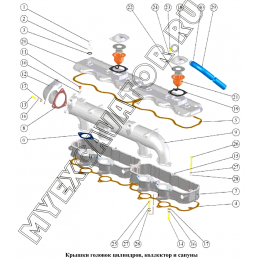Крышки головок цилиндров, коллектор и сапуны ММЗ Д-260.2