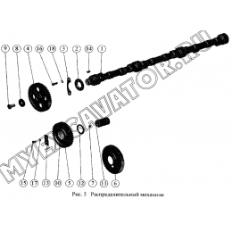 Распределительный механизм ММЗ Д-260.5Е2