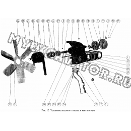 Установка водяного насоса и вентилятора ММЗ Д-260.5Е2