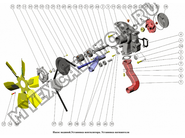 Насос водяной. Установка вентилятора. Установка натяжителя ММЗ Д-260.9