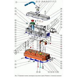 Установка головки цилиндров и впускного тракта. Клапаны и толкатели клапанов ММЗ Д-242С, Д-243С, Д-244С