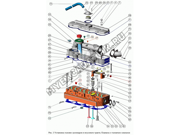 Установка головки цилиндров и впускного тракта. Клапаны и толкатели клапанов ММЗ Д-242С, Д-243С, Д-244С