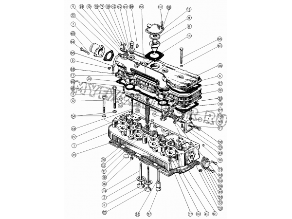 Головка цилиндров. Клапаны и толкатели клапанов ММЗ Д-245.7