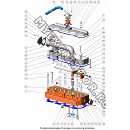 Головка цилиндров. Клапаны и толкатели клапанов ММЗ Д-245.9