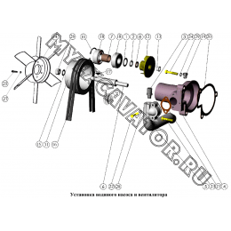 Установка водяного насоса и вентилятора ММЗ Д-245.9
