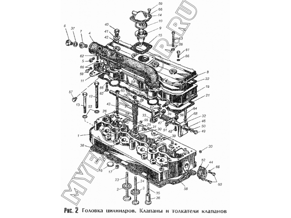 Головка цилиндров. Клапаны и толкатели клапанов ММЗ Д-245.9-540