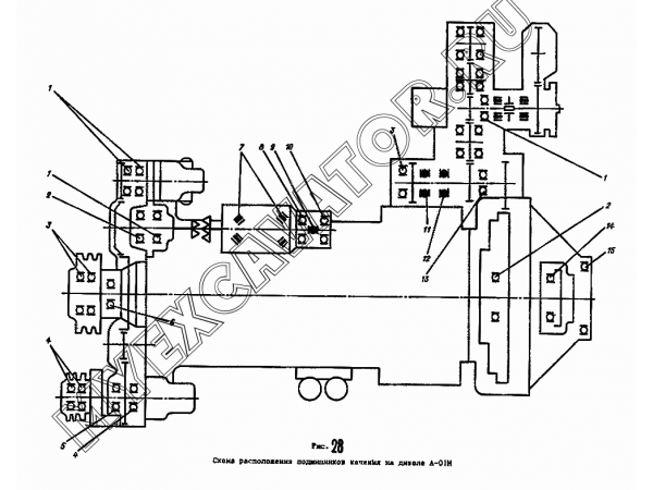 Схема расположения подшипников АМЗ Д-461